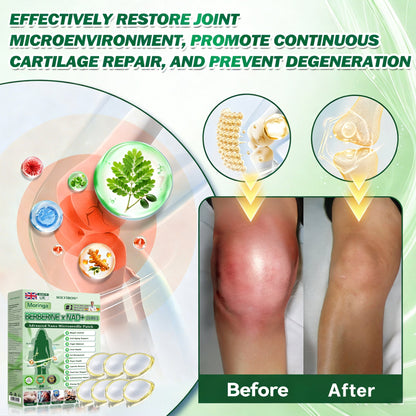 𝐏𝐡𝐲𝐬𝐢𝐜𝐢𝐚𝐧 𝐅𝐨𝐫𝐦𝐮𝐥𝐚𝐭𝐞𝐝 🧬|𝐒𝐎𝐋𝐕𝐈𝐑𝐎𝐍® 𝐌𝐨𝐫𝐢𝐧𝐠𝐚 𝐁𝐞𝐫𝐛𝐞𝐫𝐢𝐧𝐞 × 𝐍𝐀𝐃+ 𝟏𝟎-𝐢𝐧-𝟏 𝐀𝐝𝐯𝐚𝐧𝐜𝐞𝐝 𝐍𝐚𝐧𝐨 𝐌𝐢𝐜𝐫𝐨𝐧𝐞𝐞𝐝𝐥𝐞 𝐏𝐚𝐭𝐜𝐡 (𝐄𝐱𝐩𝐞𝐫𝐢𝐞𝐧𝐜𝐞 𝐕𝐢𝐬𝐢𝐛𝐥𝐞 𝟕-𝐃𝐚𝐲 𝐑𝐞𝐬𝐮𝐥𝐭𝐬)